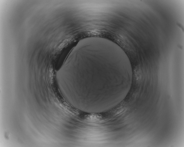 X0000099300223200805301140