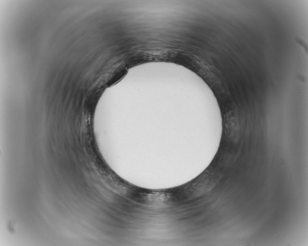 X0000099300225200805301140