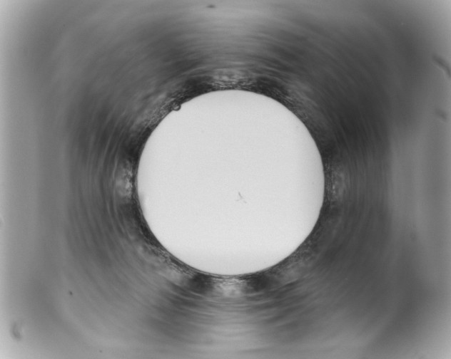 X0000099300226200805301140