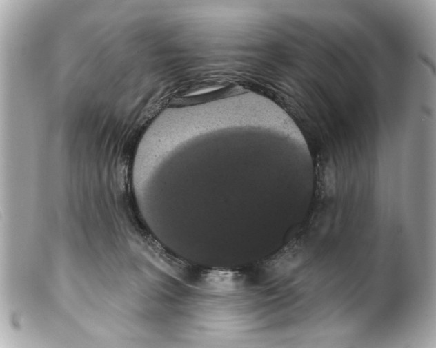 X0000099300227200805301140