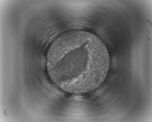 X0000099300228200805301140