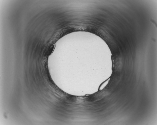 X0000099300229200805301140