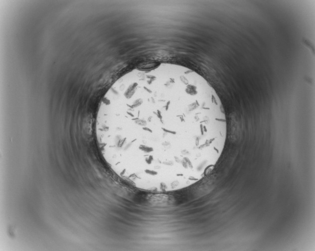 X0000099300230200805301140