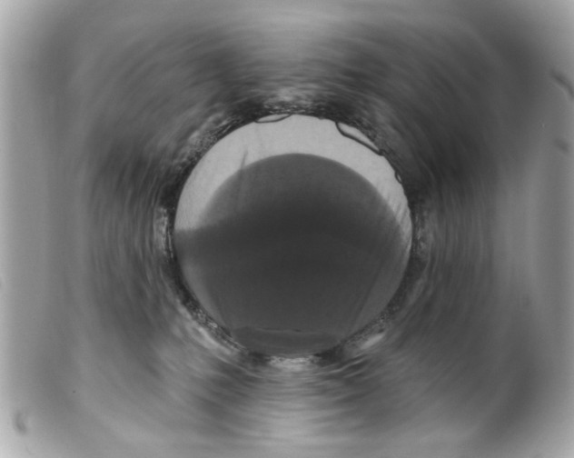X0000099300231200805301140