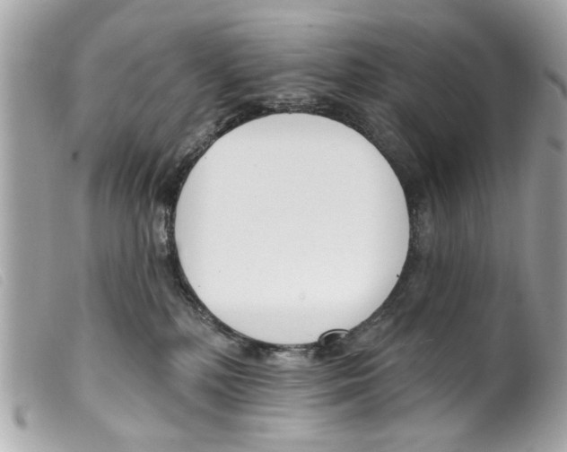 X0000099300232200805301140
