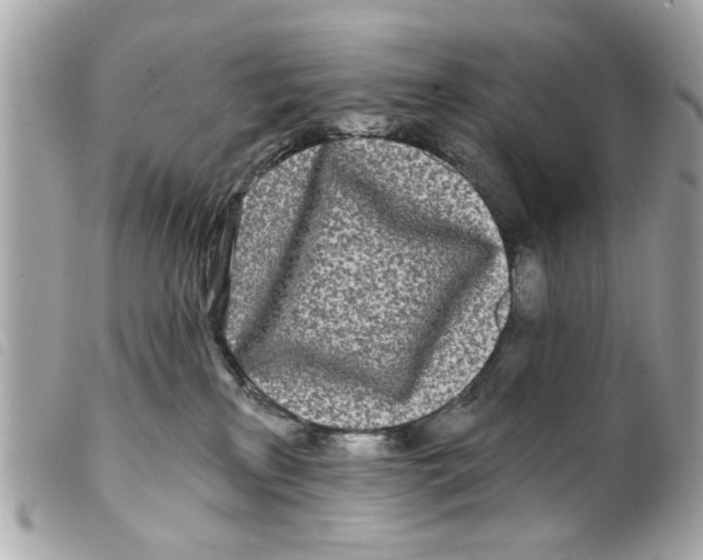 X0000099300233200805301140