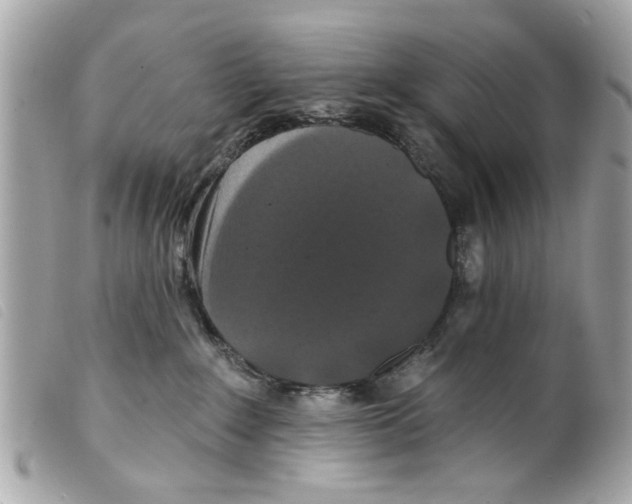 X0000099300235200805301140