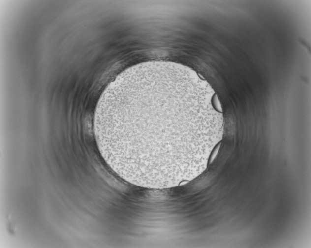 X0000099300238200805301140