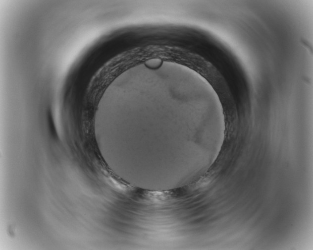 X0000099300239200805301140