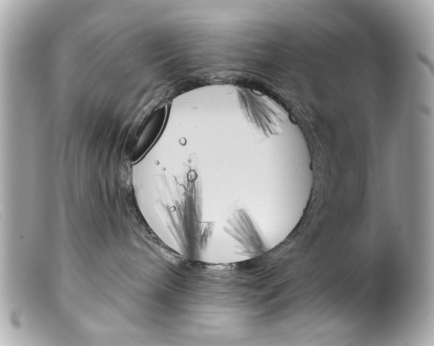 X0000099300240200805301139