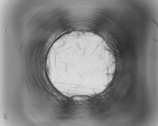 X0000099300241200805301139