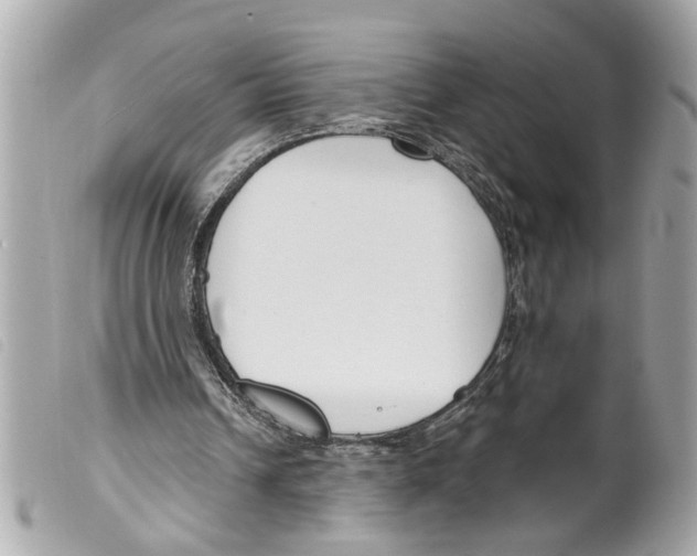 X0000099300242200805301139