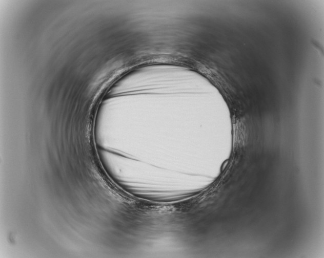 X0000099300243200805301139