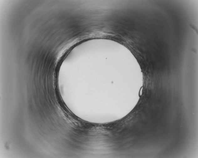 X0000099300244200805301139