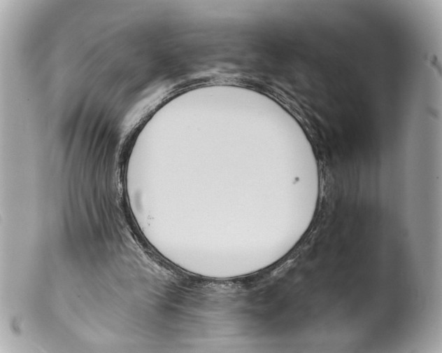 X0000099300245200805301139