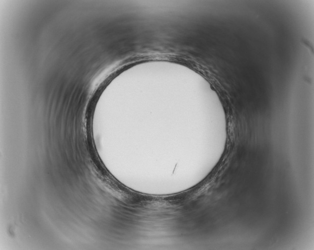 X0000099300246200805301139