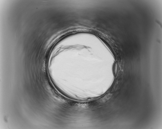 X0000099300247200805301139