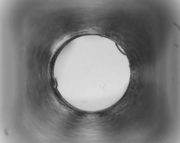 X0000099300248200805301139