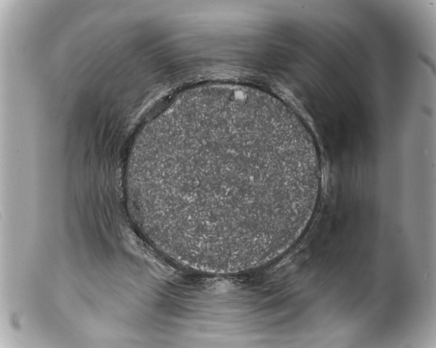 X0000099300249200805301139