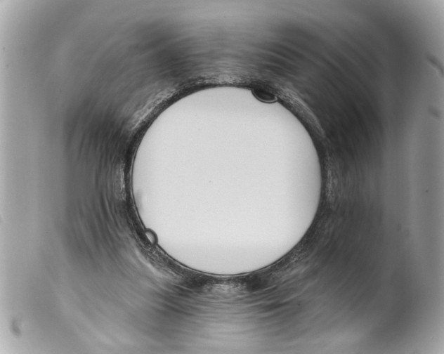 X0000099300251200805301139