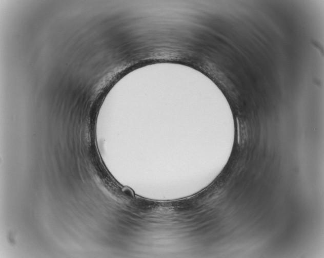 X0000099300252200805301139