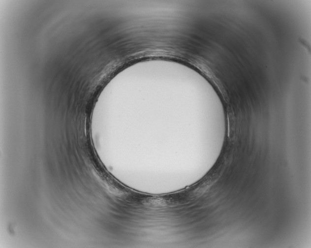 X0000099300253200805301139