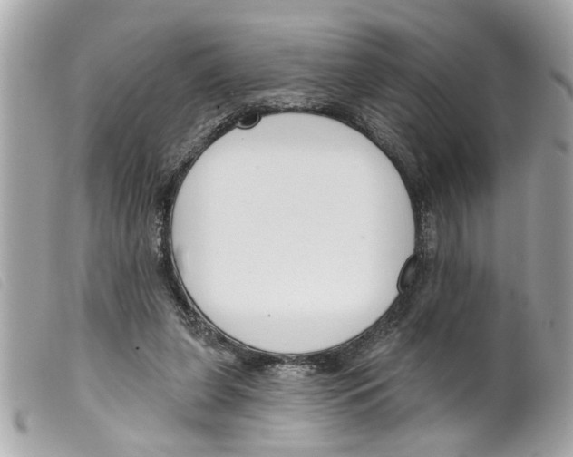 X0000099300255200805301139