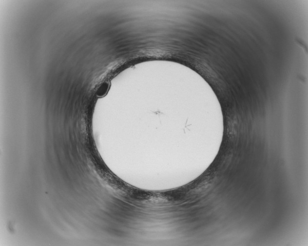 X0000099300256200805301139