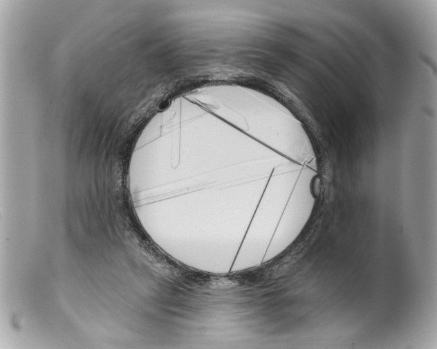 X0000099300257200805301139