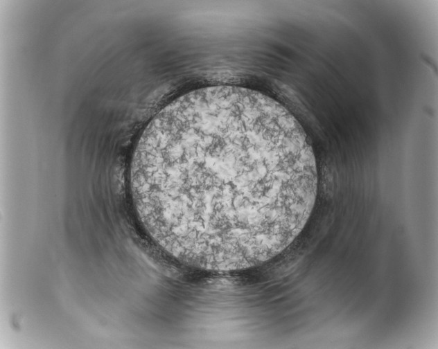 X0000099300259200805301139