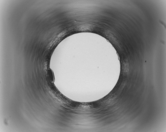 X0000099300260200805301139