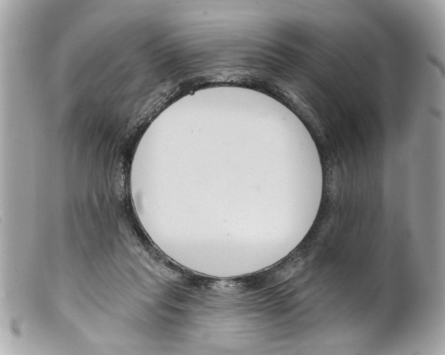 X0000099300261200805301139
