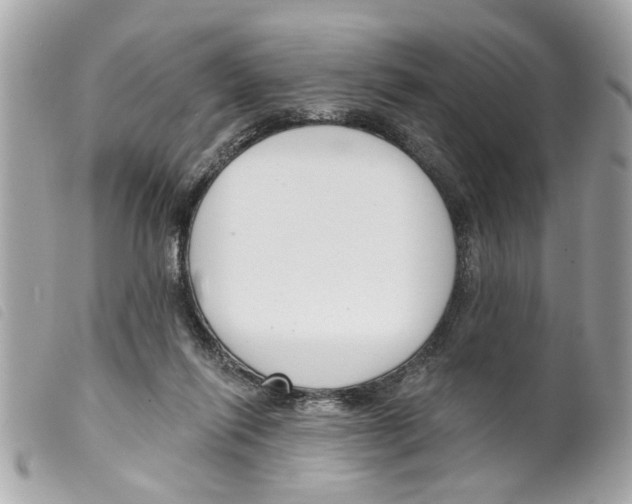 X0000099300262200805301139