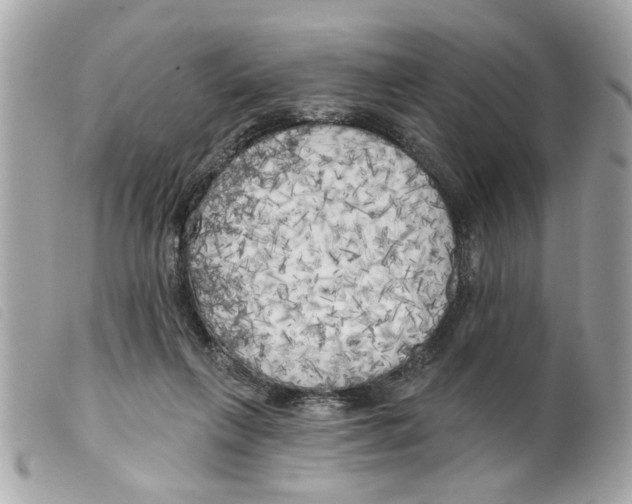 X0000099300263200805301139