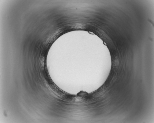 X0000099300264200805301139