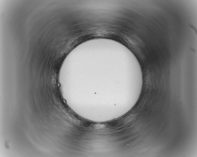 X0000099300265200805301139