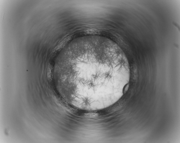 X0000099300266200805301139