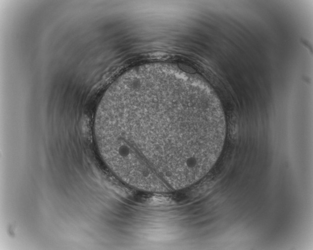 X0000099300270200805301139