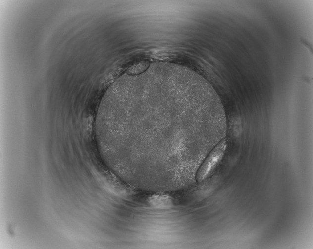 X0000099300271200805301139
