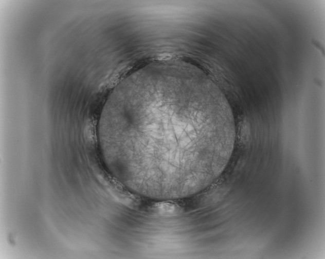 X0000099300272200805301139