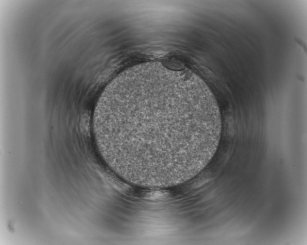X0000099300274200805301139