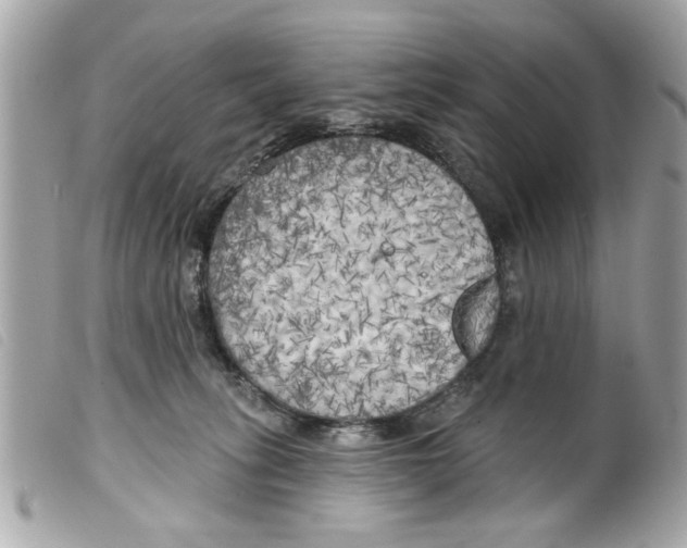 X0000099300275200805301139
