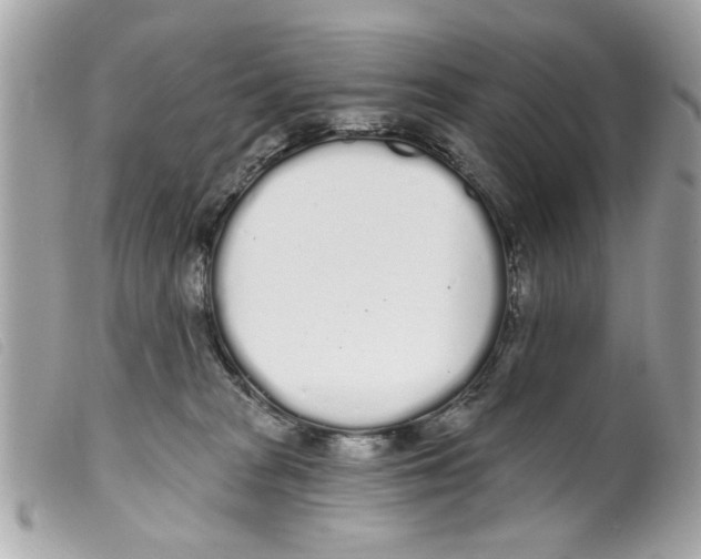 X0000099300277200805301139