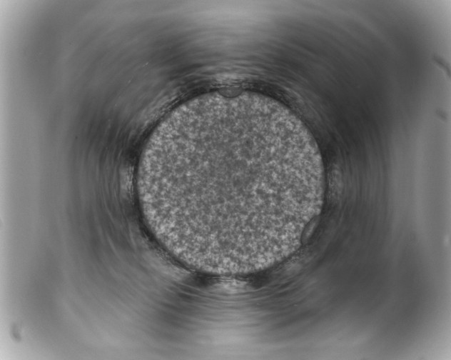 X0000099300278200805301139