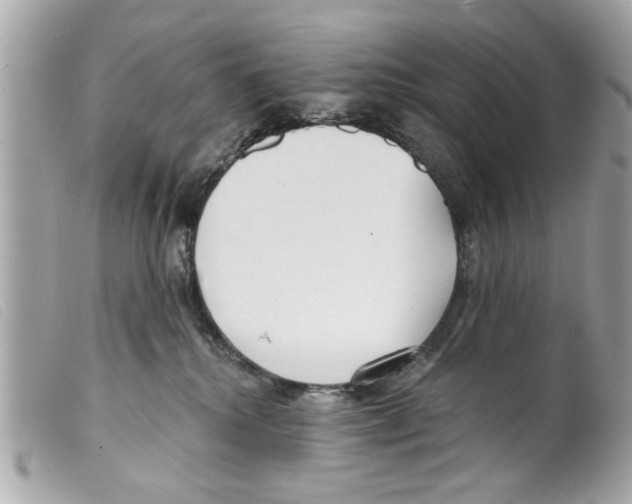 X0000099300280200805301139