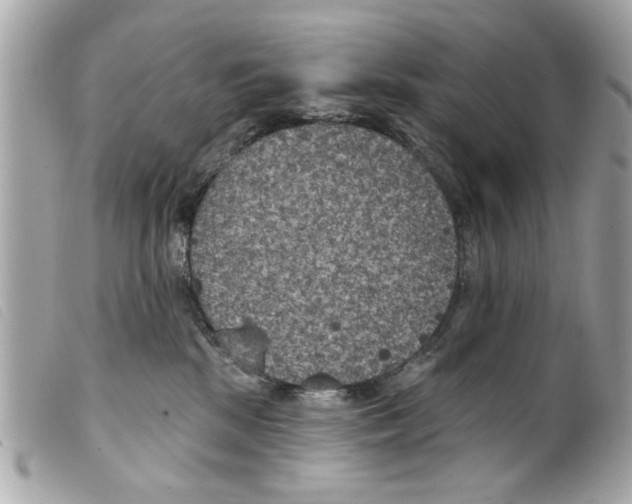 X0000099300281200805301139