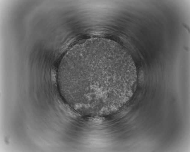 X0000099300282200805301139