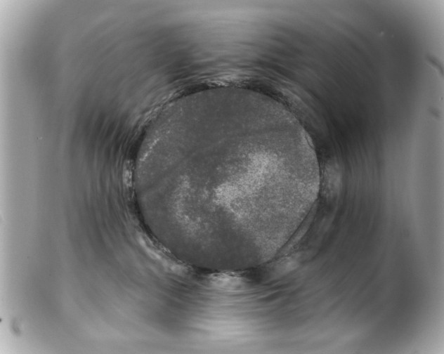 X0000099300284200805301139
