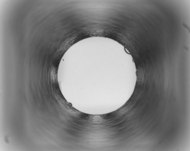 X0000099300287200805301139