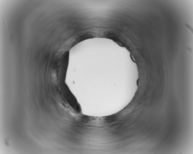 X0000099300288200805301139